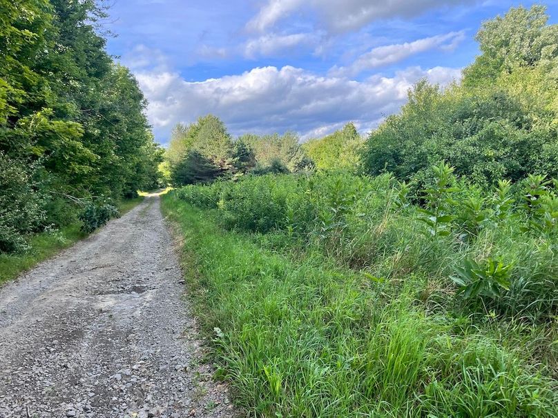 Chemung_78.26+Gutchess_Lumber_Photos_2