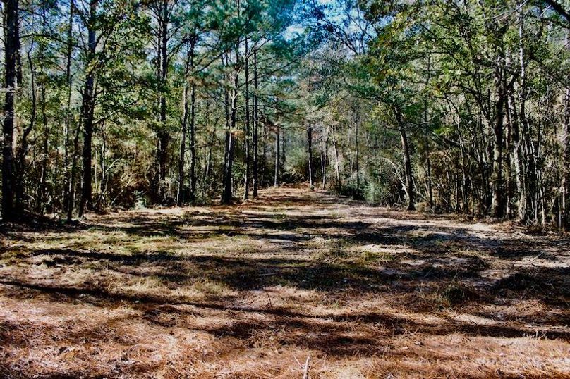 B6BB2D05-0CA1-441A-9384-1924069139A1_1_105_c