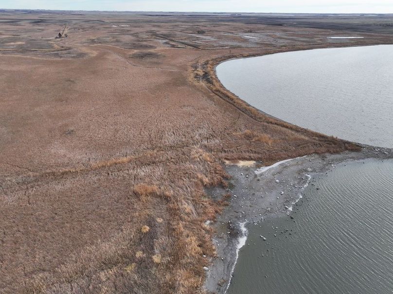 DJI_20241118113111_0317_D