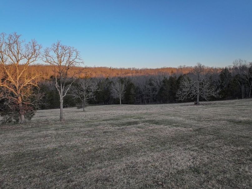 DJI_20250311074213_0162_D