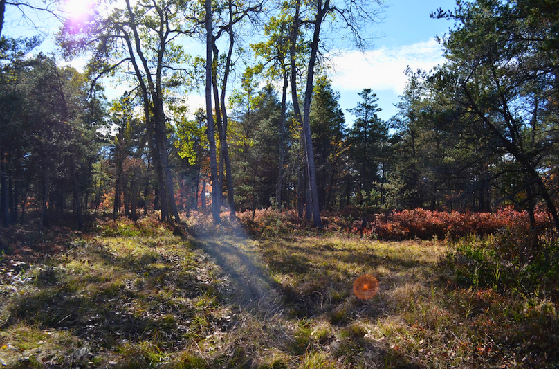 Screenshot 2025-11-14 at 11.16.42 AM