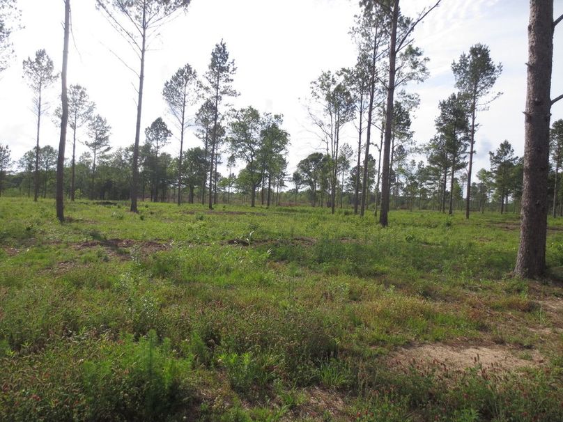 68C9280C-DB62-4885-9EFC-D920F1C16290_1_105_c