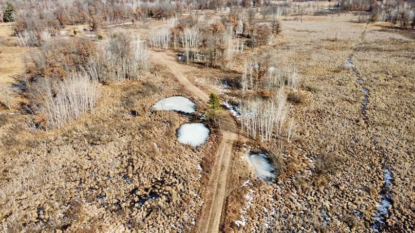 dji_fly_20240205_131354_998_1707264599426_photo_optimized 2