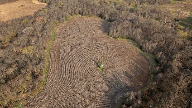 DJI_0937