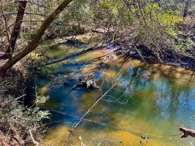 171F1506-6A77-47BA-B37C-0BF82432A75A_1_201_a