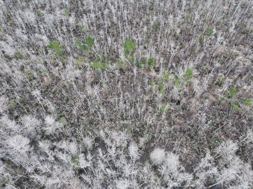 dji_fly_20260123_120936_0927_1769444779395_photo