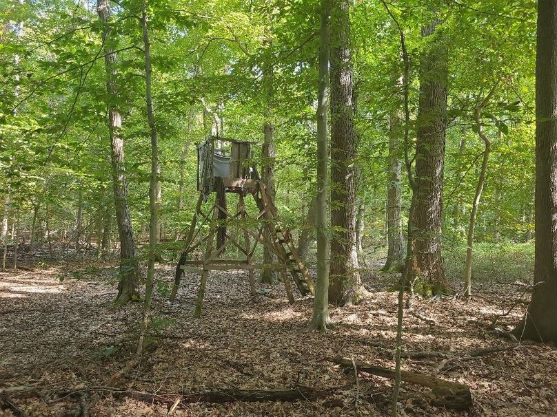 31.40ac_QAnnes_PIC_014