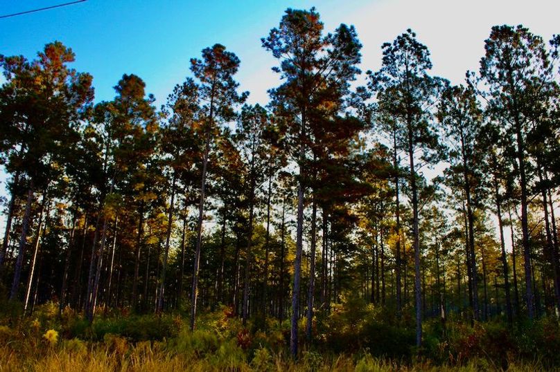 EA78B9F9-BA9D-4FC6-83DC-EC15327EABF7_1_201_a