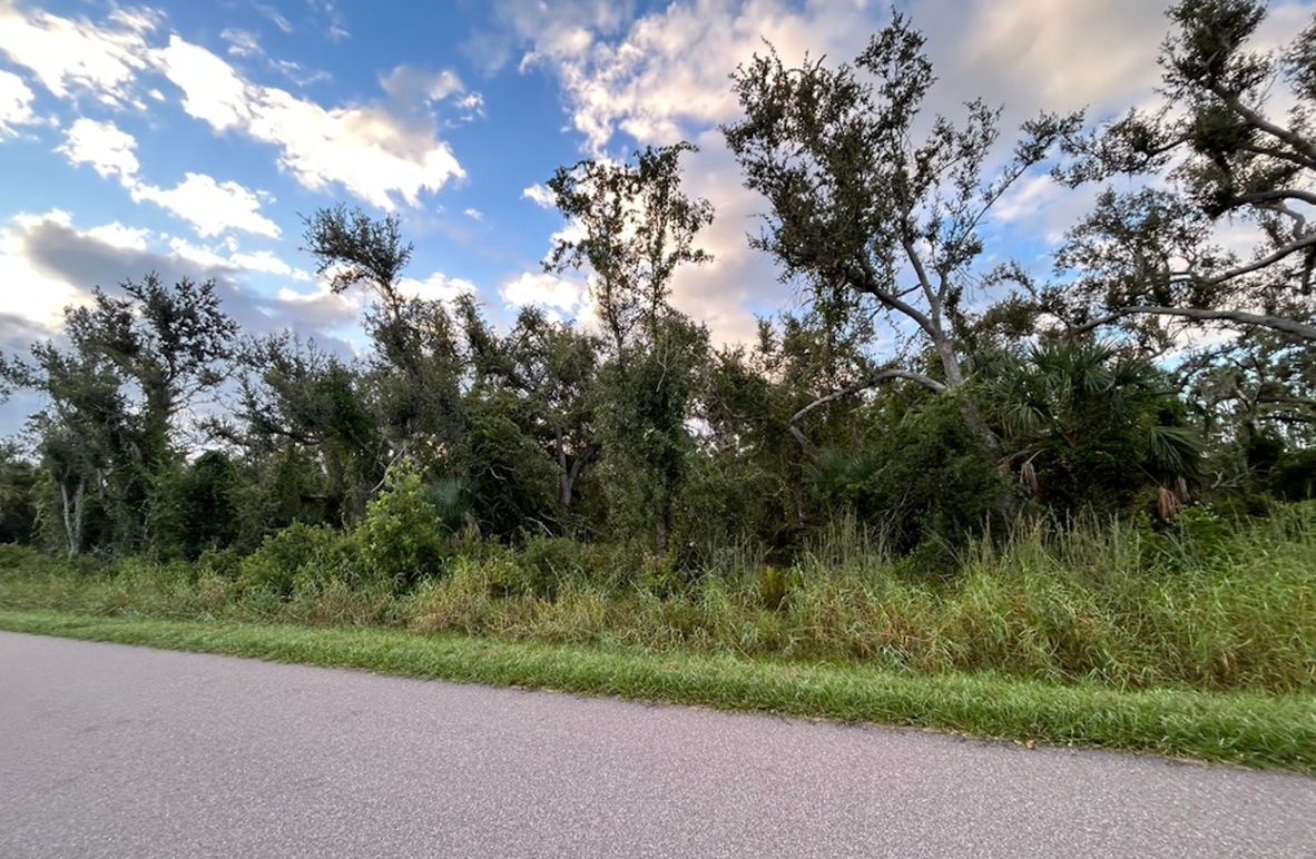 435023E4-D272-4D4E-9A85-6020C2039D27_1_105_c