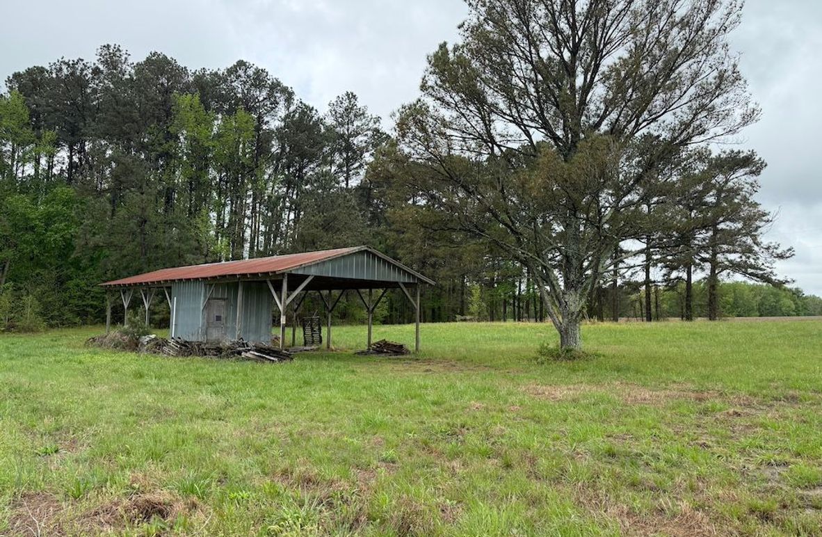 Copy of Copy of IMG_5652