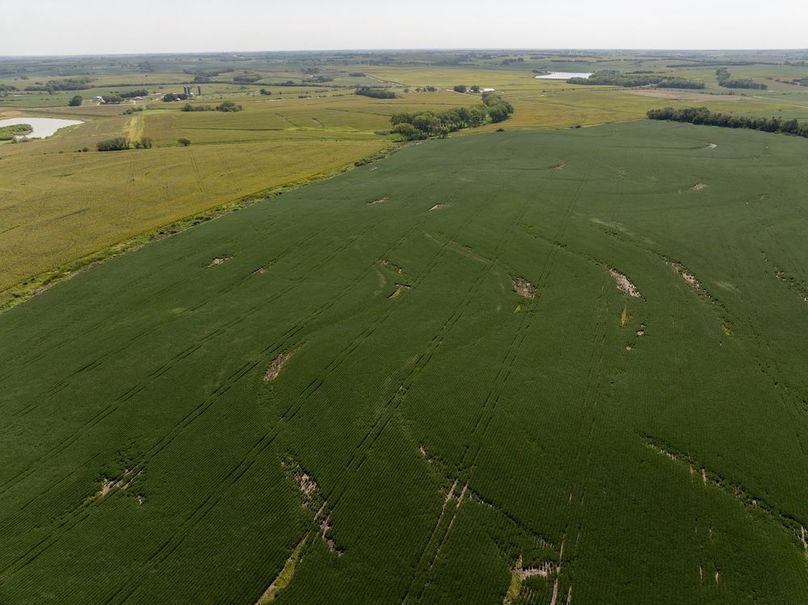 DJI_20250822112927_0053_D