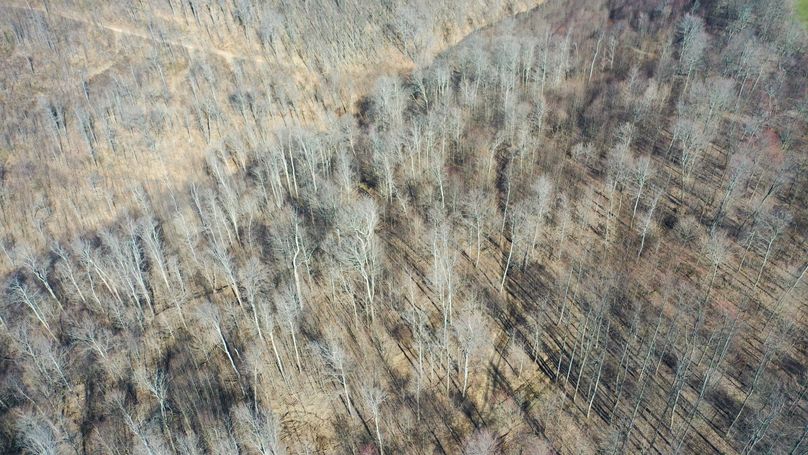 DJI_0616