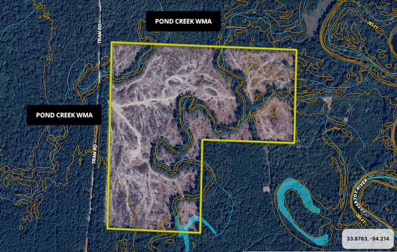 Screenshot 2025-09-19 at 8.04.00 AM