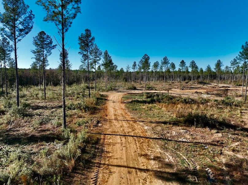 7004DDE4-B4B1-4D19-A31B-FCF8AB8AD150_1_201_a