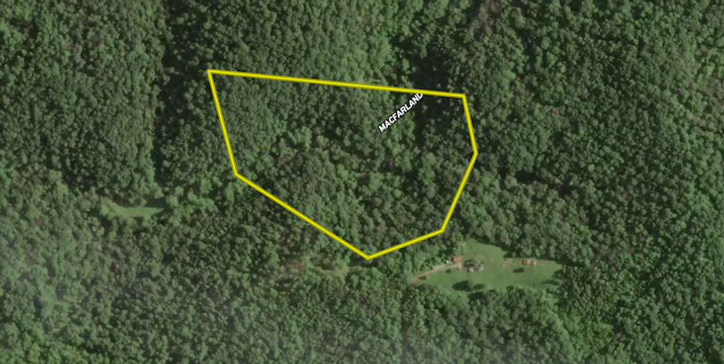 Screenshot 2025-12-01 at 7.43.47 AM