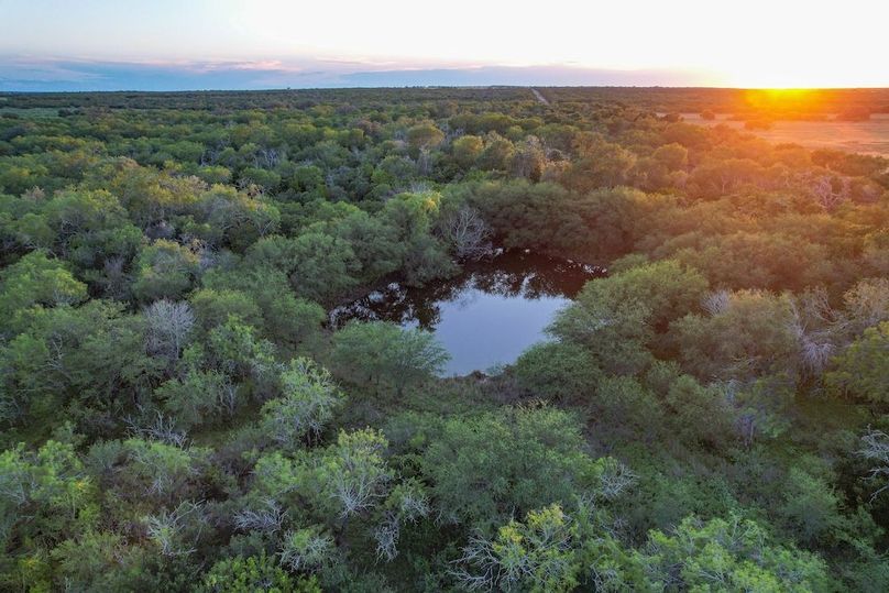 DJI_0976