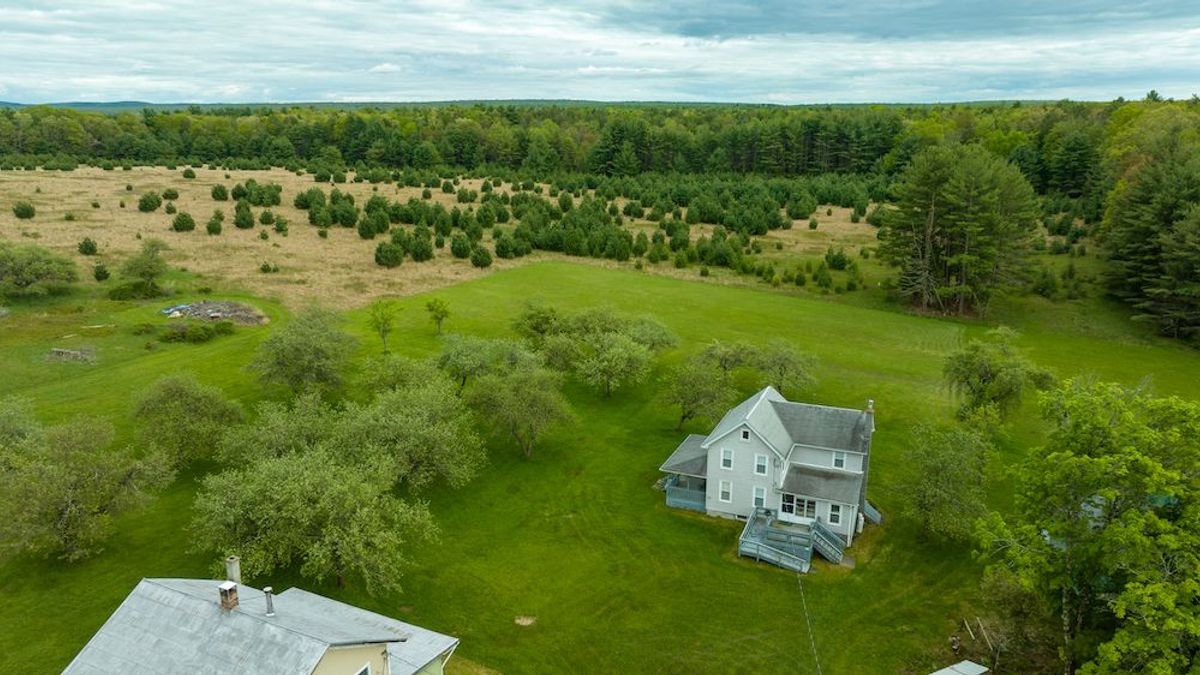 Recreational Property With OGM Rights | Whitetail Properties