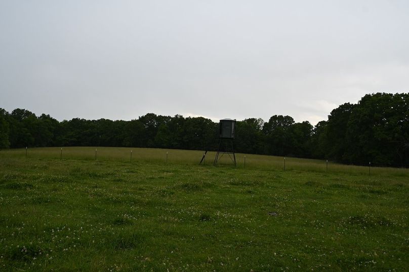 DSC_0213