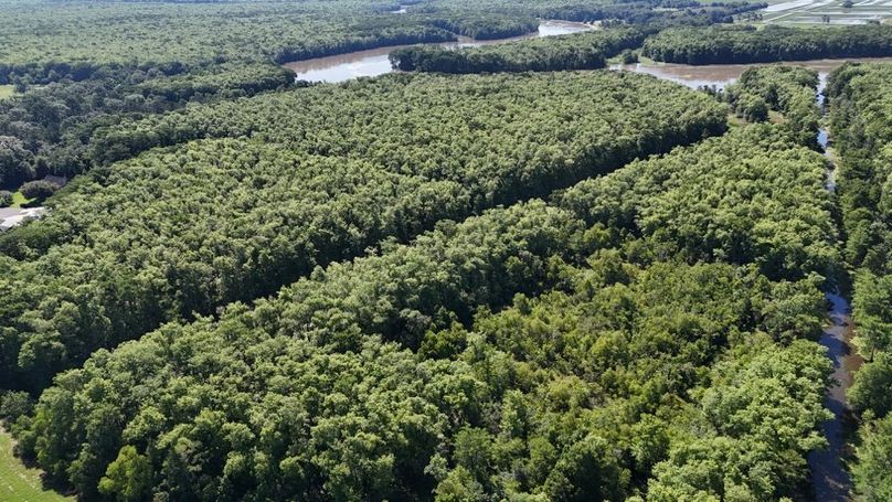 dji_fly_20260513_230720_0184_1778687811600_photo
