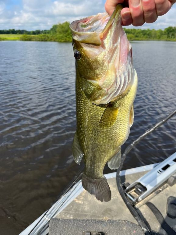 0BAE1216-833F-4E71-98F6-95D192C2CE25