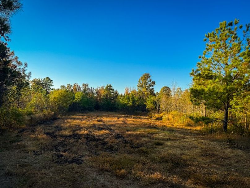 Clay 302.7 Henderson-35