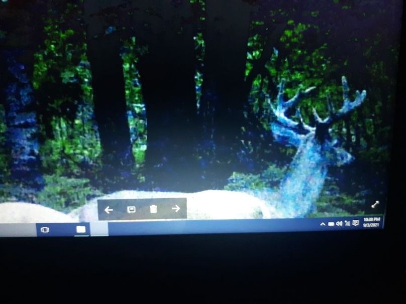 Resized_20210903_223816