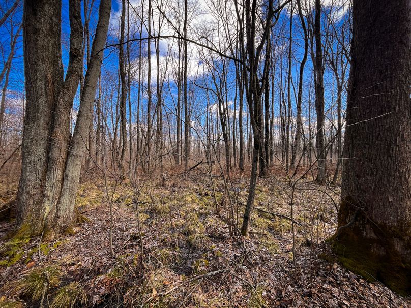 Oswego_165.52_Lashomb_Photos_47