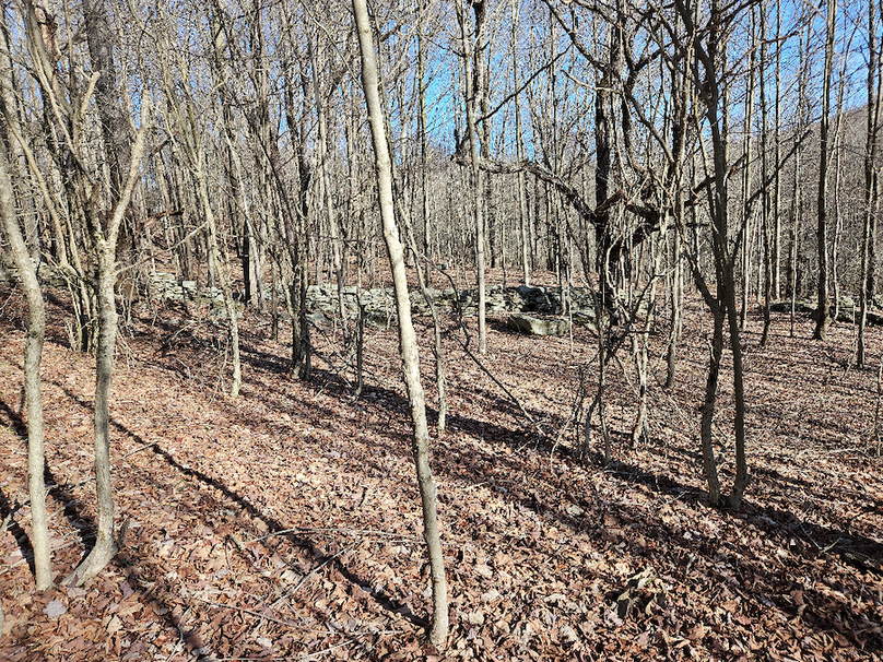 photo_390095f5-c437-4cf7-813b-8998f9ee18cc