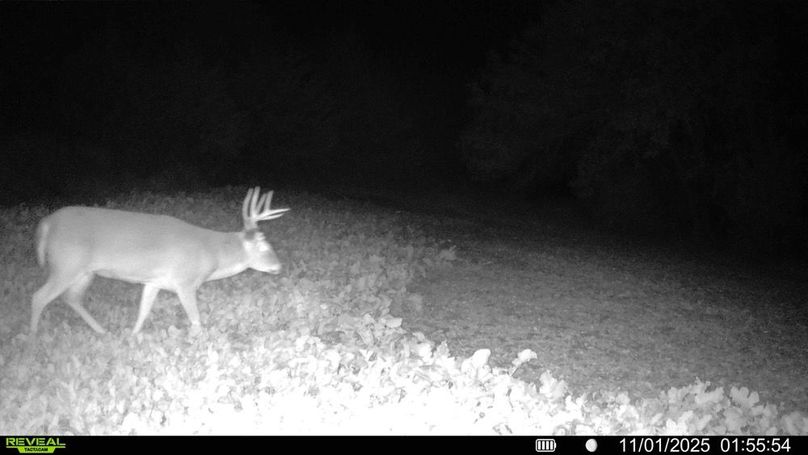 016578004266422-62-3-11012025015715-HD-SYFW01312