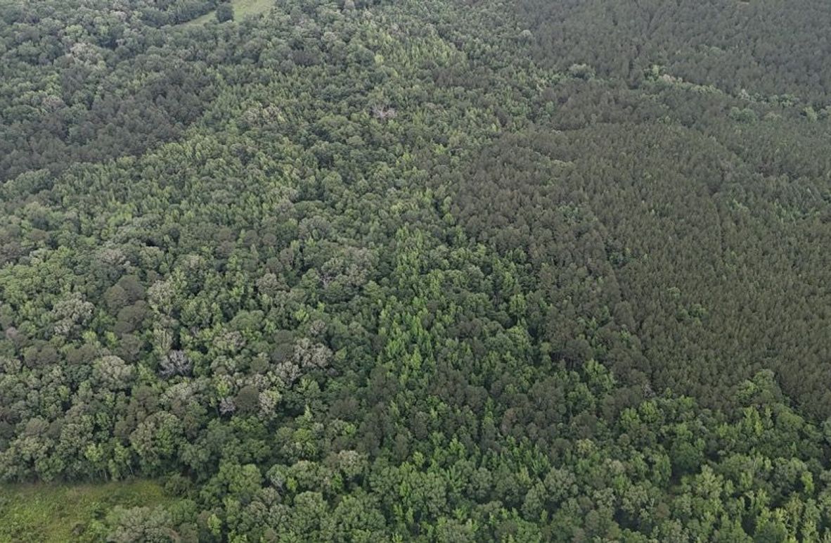 DJI_20260528015204_0016_D
