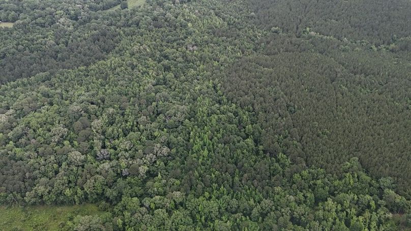 DJI_20260528015204_0016_D