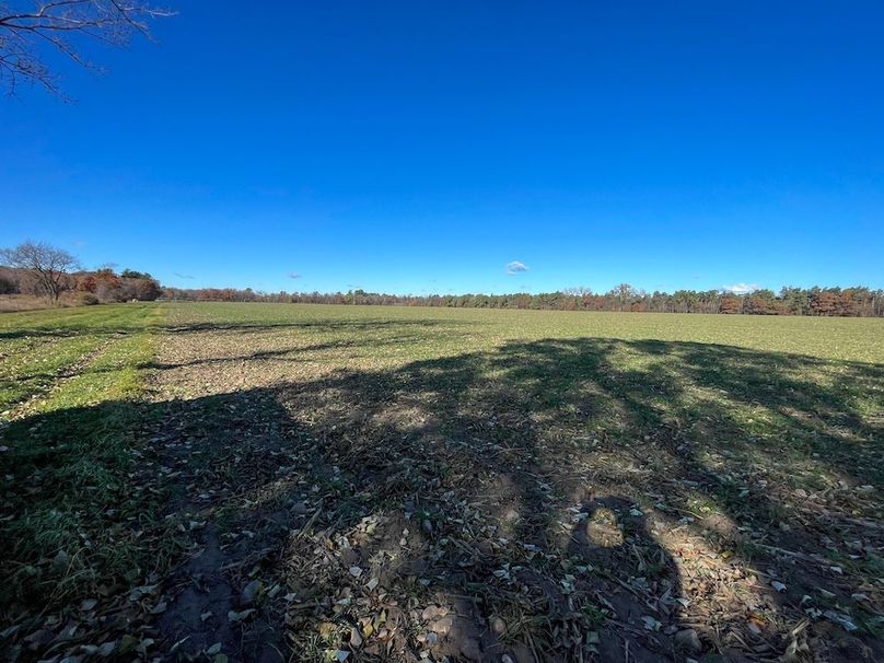 Portage 150.81 JMJK Prop-35