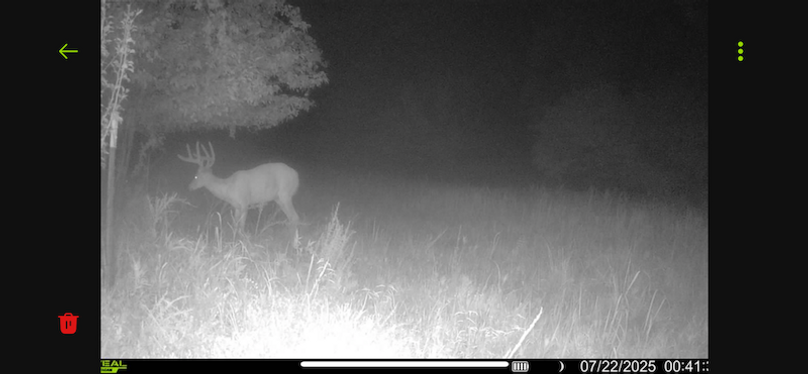trailcam9