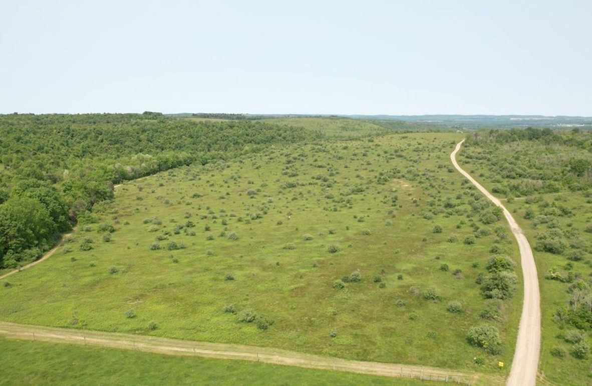dji_fly_20250602_111344_265_1748877845330_photo