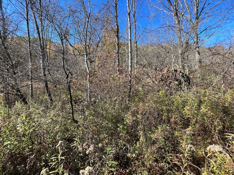 Schuyler_25.155_Ennis_Photos_21