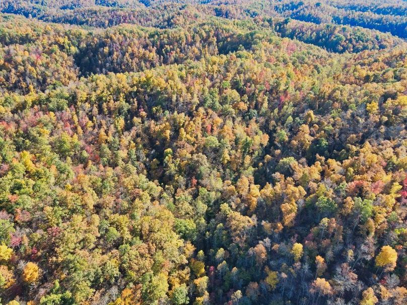 011 gorgeous fall colors from above-2