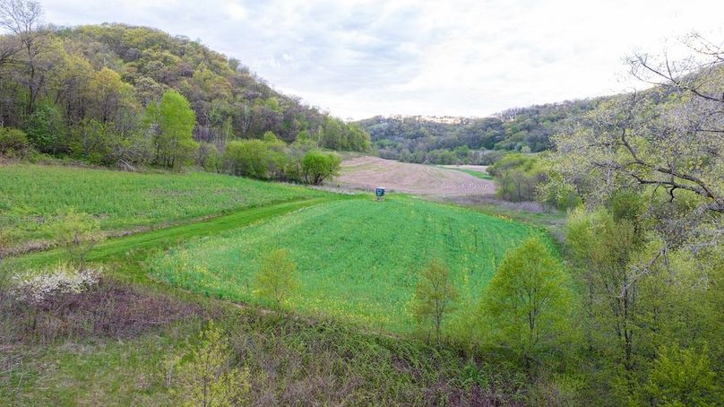 DJI_0309