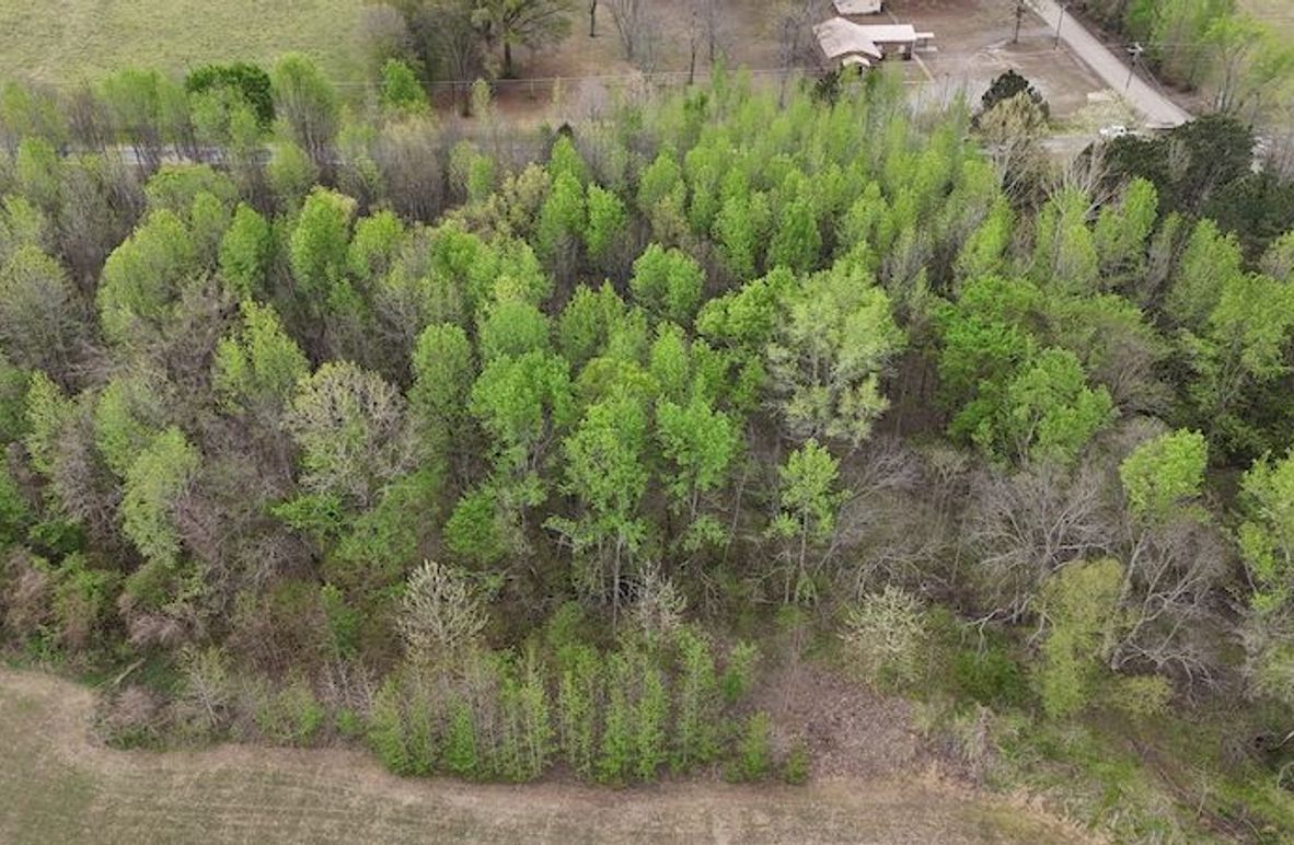 DJI_20260402002737_0184_D