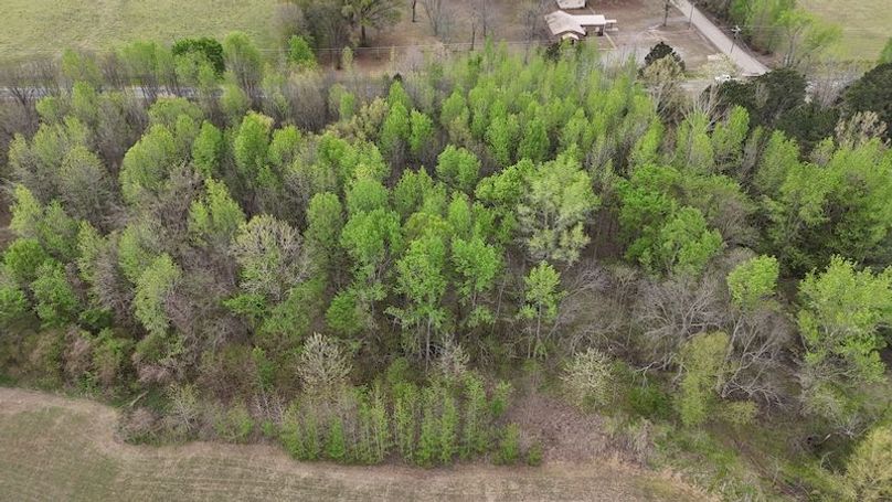 DJI_20260402002737_0184_D