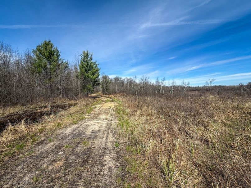 ClarK 160 WILLIAMS -58