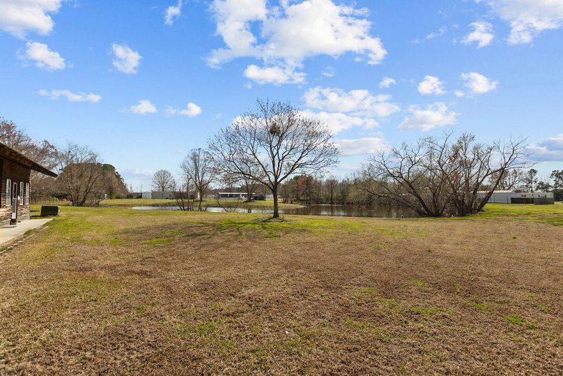 41-web-or-mls-IMGL0794