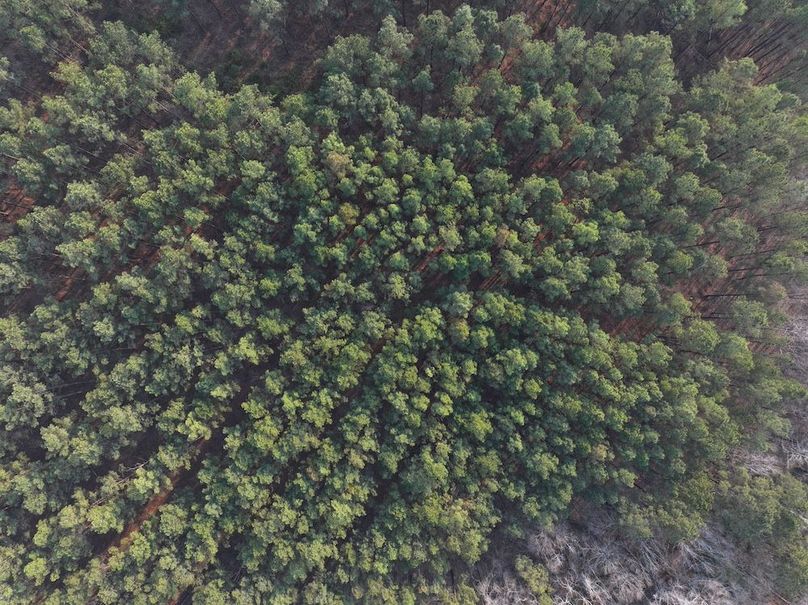 F109 - 105 Acres - Drone-9