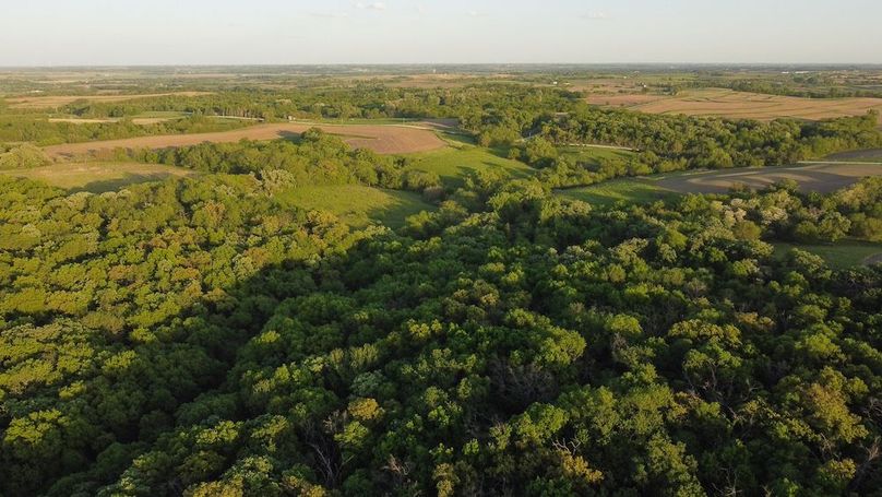 PAGE CO IA 130+_-_65