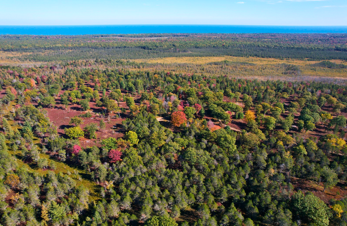 Screenshot 2025-11-14 at 11.01.36 AM