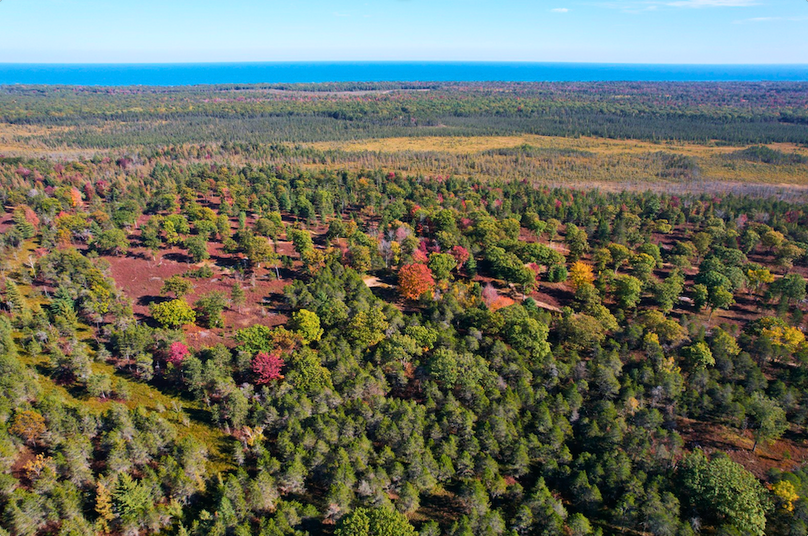 Screenshot 2025-11-14 at 11.01.36 AM