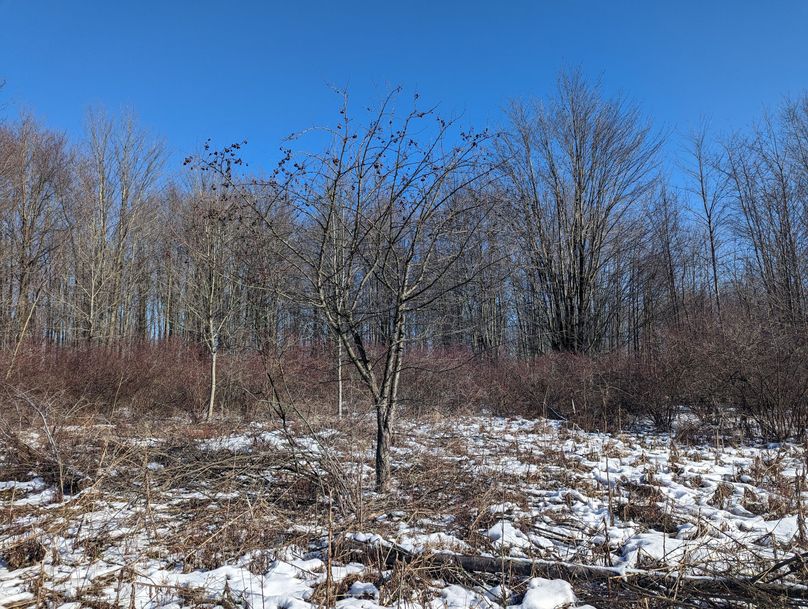 PXL_20230202_163108749