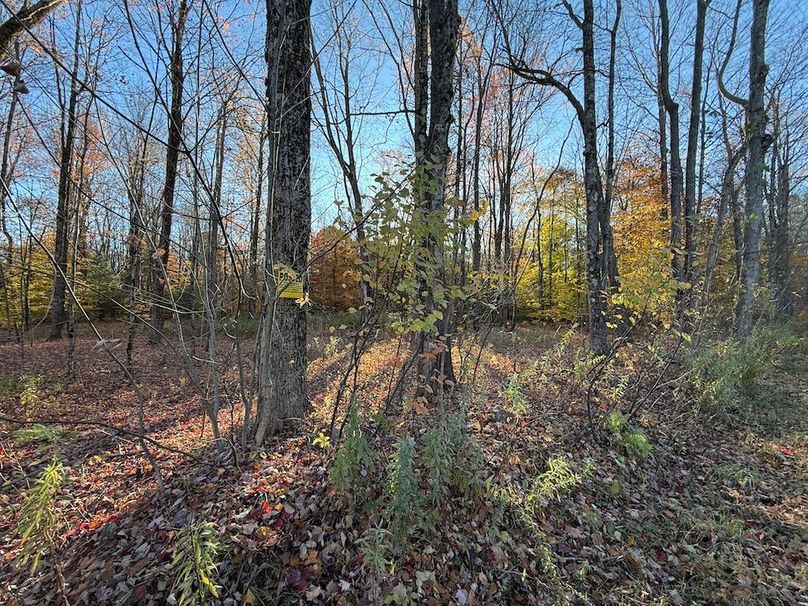 Oswego_26.28_Koehler Photo 39