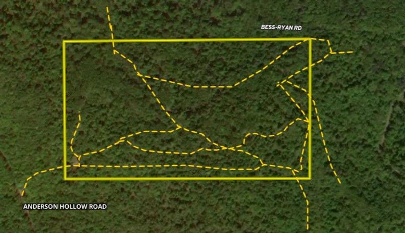 Mapright trails