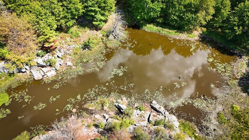 Jefferson NY 195.6 Parker Photos 23