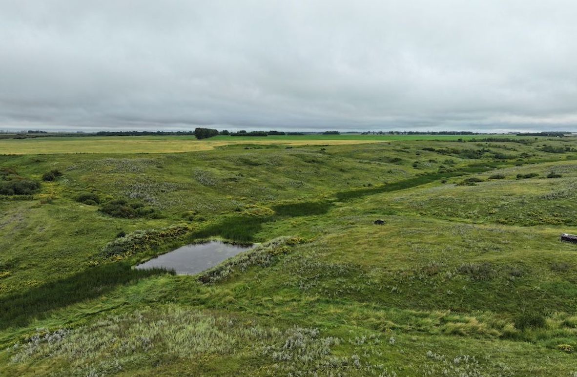 DJI_20250704133129_0601_D